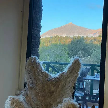 Eco-resort Maestra Chalet